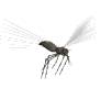 Bug Bug